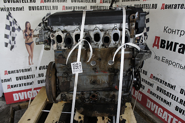 Фотография двигателя Fiat 8144.21