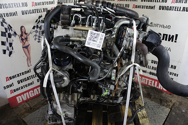 Фотография мотора Nissan YD25DDTi