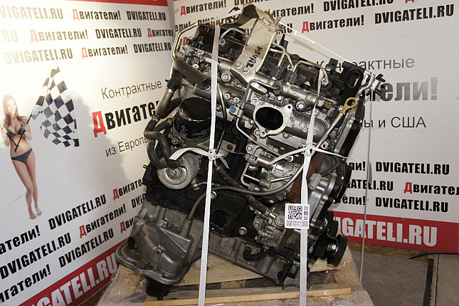 Фотография двигателя Nissan  YD25